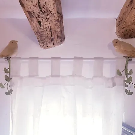 La Ultima Casa Masboquera
