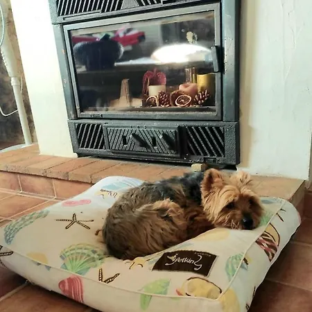 La Ultima Casa Masboquera Tatil Evi Mas Boquera