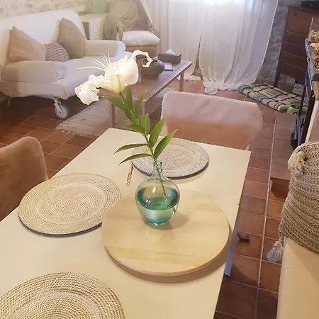 Tatil Evi La Ultima Casa Masboquera *