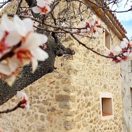 Tatil Evi La Ultima Casa Masboquera Mas Boquera